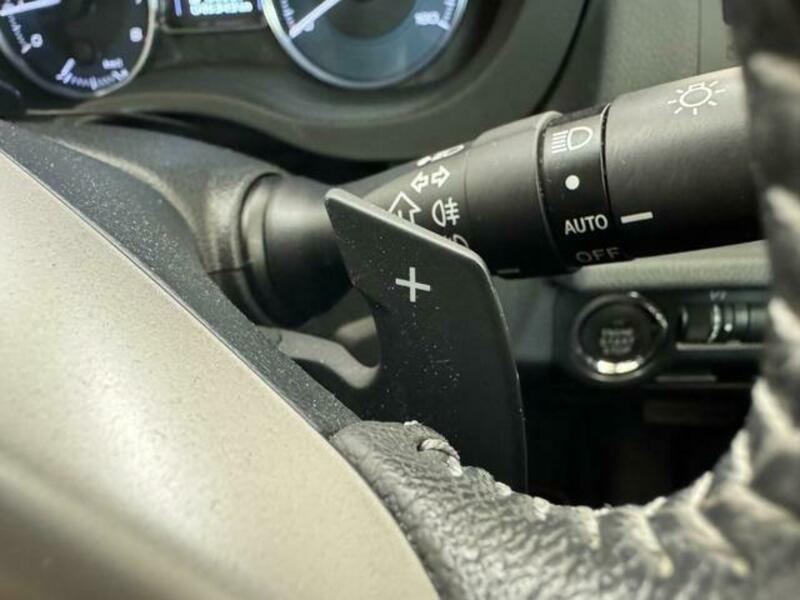 XV