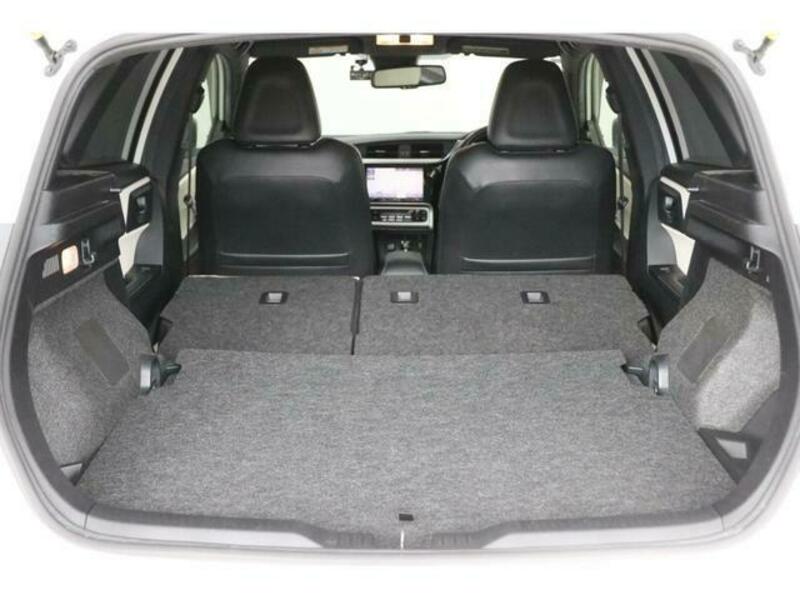 AURIS
