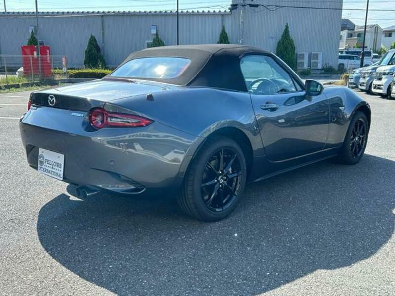 ROADSTER