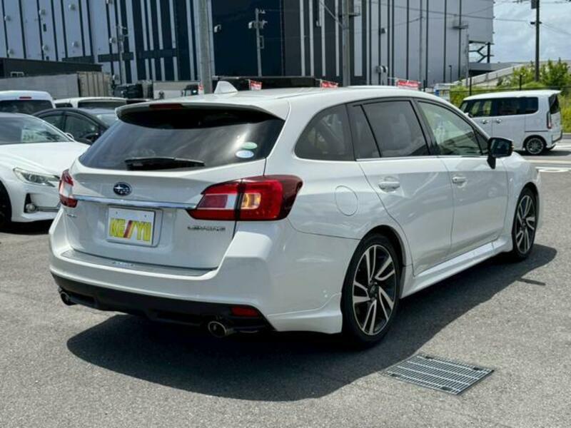 LEVORG