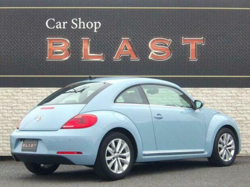 THE BEETLE