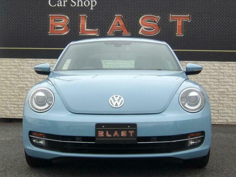 THE BEETLE
