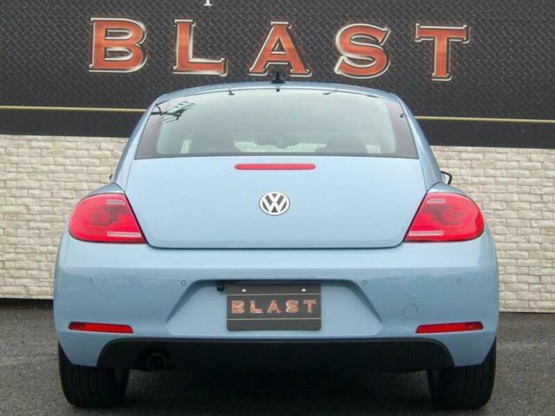 THE BEETLE