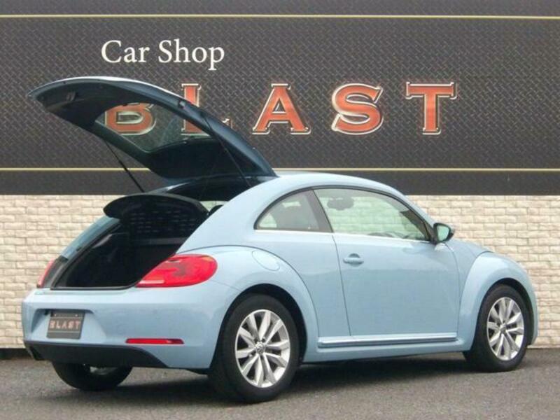 THE BEETLE