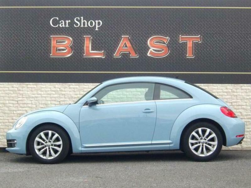 THE BEETLE