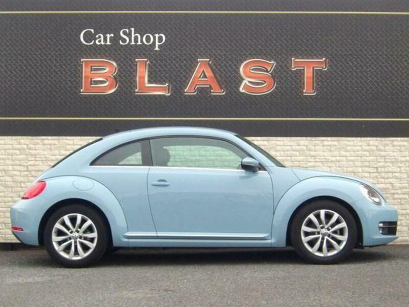 THE BEETLE