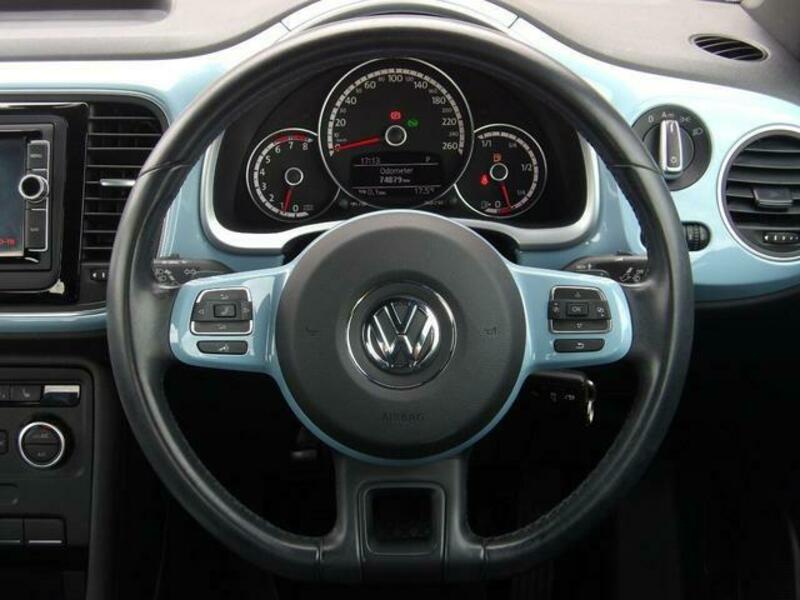 THE BEETLE