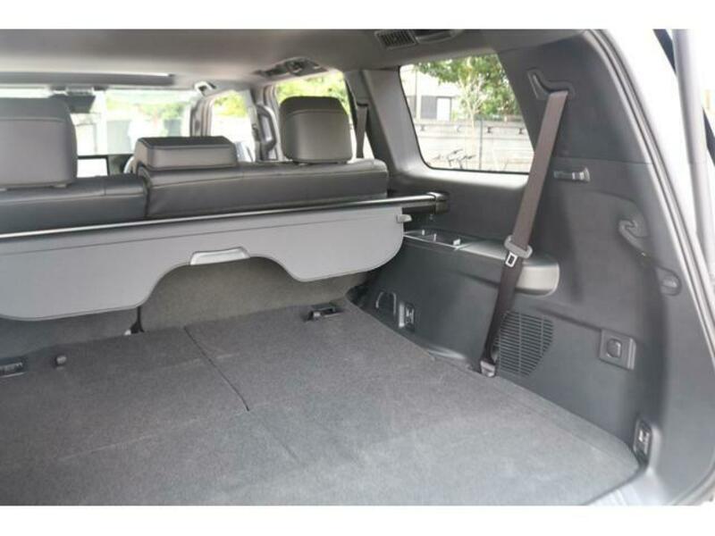 LAND CRUISER 250