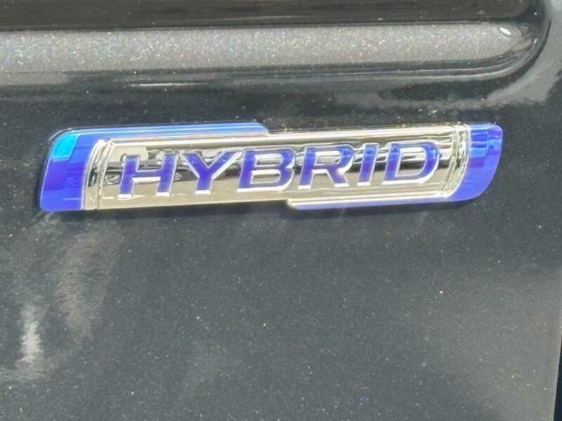 HUSTLER
