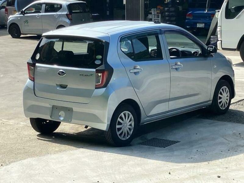 PLEO PLUS