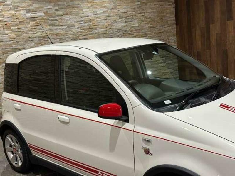 NEW PANDA