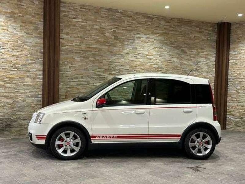 NEW PANDA