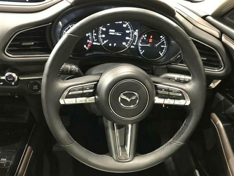 CX-30