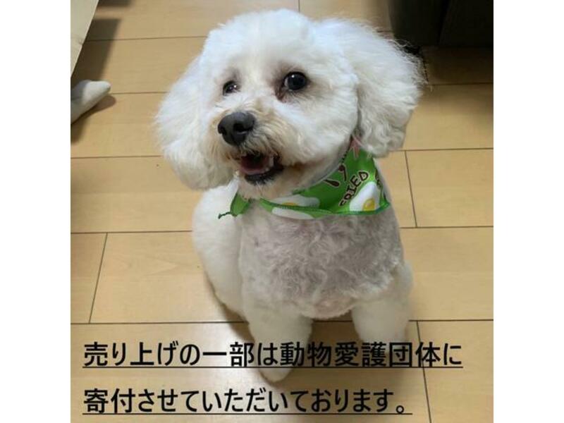 SERA