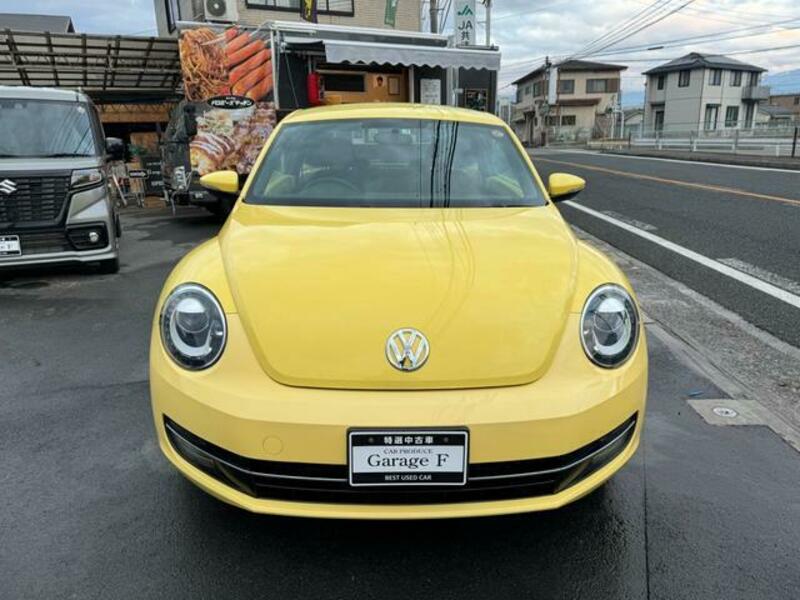 THE BEETLE