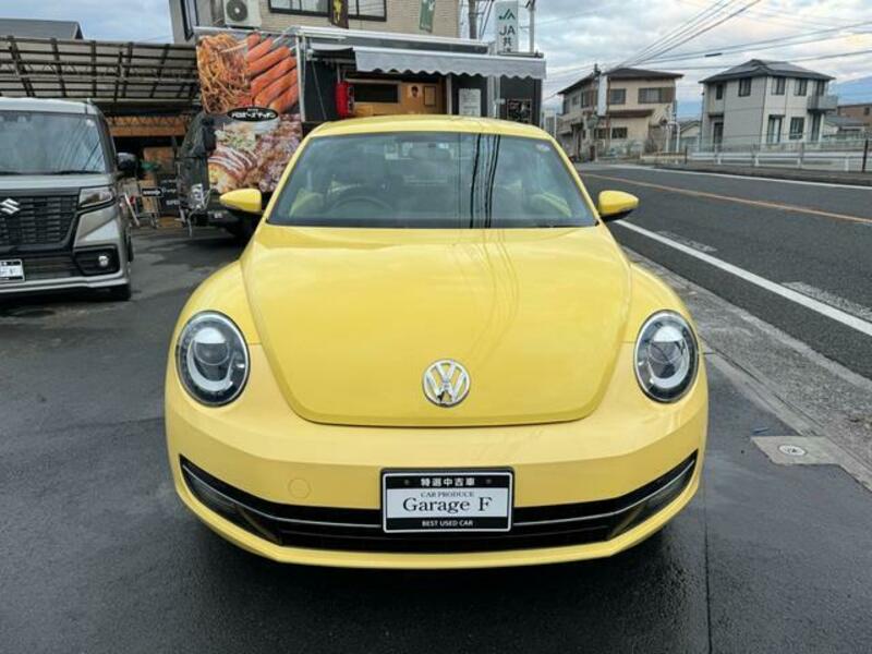 THE BEETLE