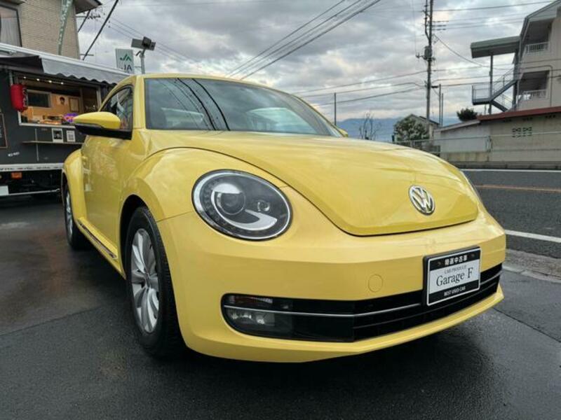 THE BEETLE