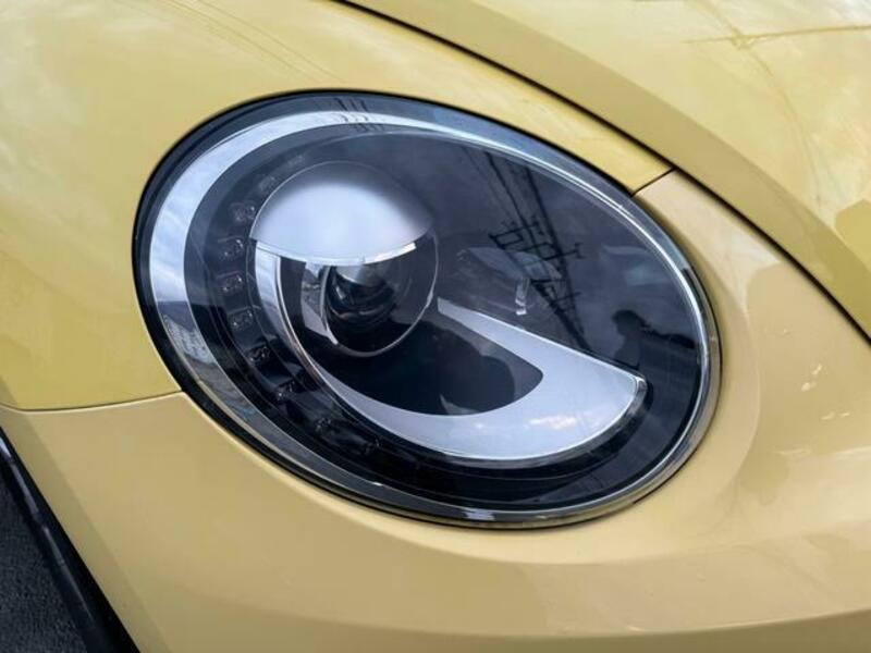 THE BEETLE