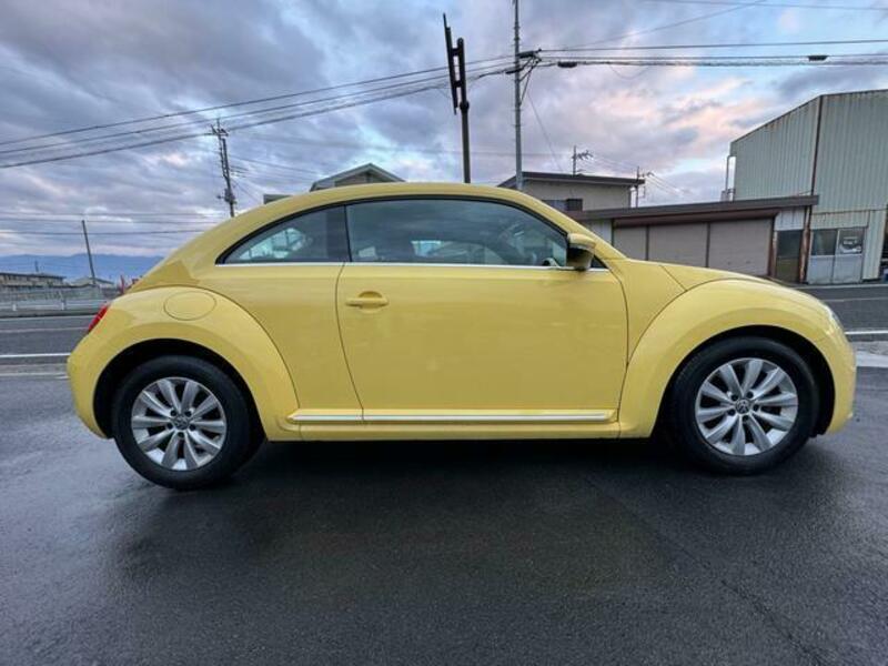 THE BEETLE