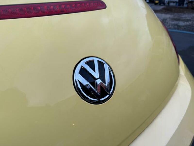 THE BEETLE