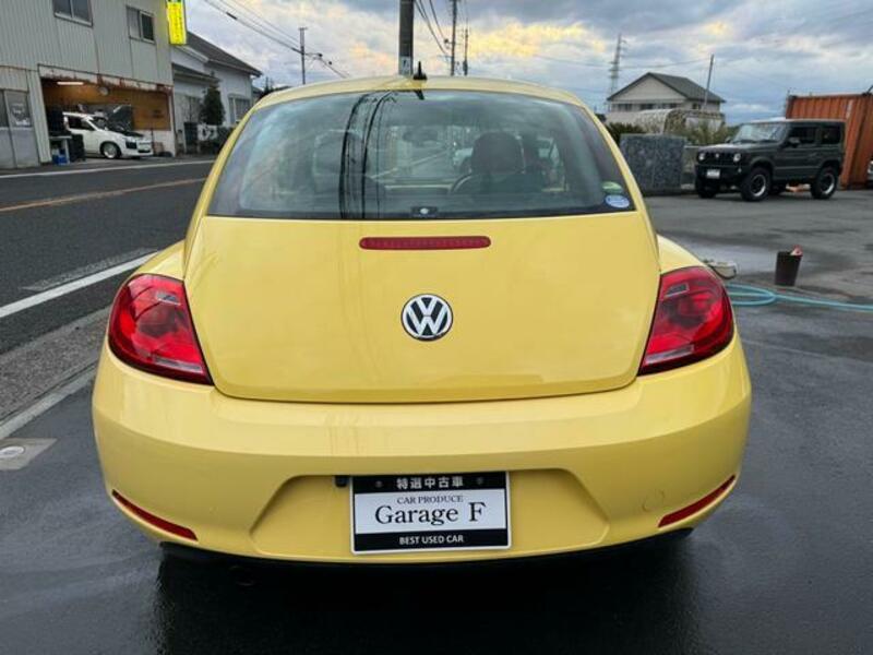 THE BEETLE
