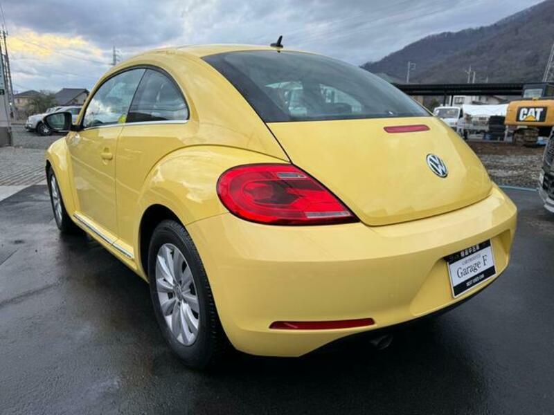 THE BEETLE