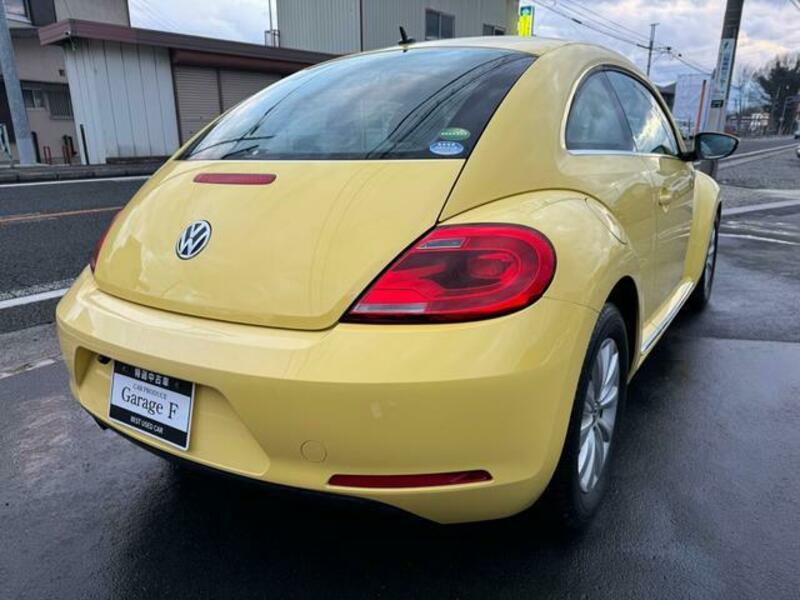 THE BEETLE