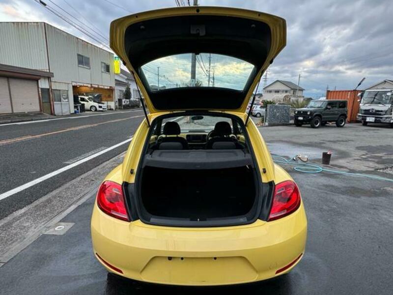 THE BEETLE