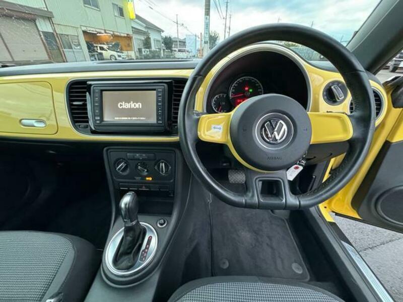 THE BEETLE