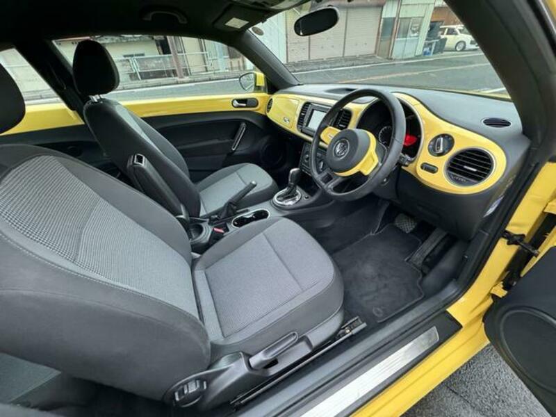 THE BEETLE