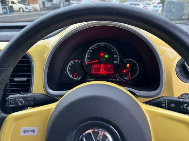 THE BEETLE