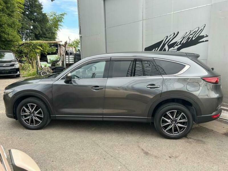 CX-8