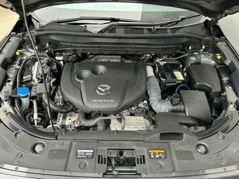 CX-8