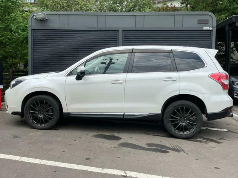 FORESTER