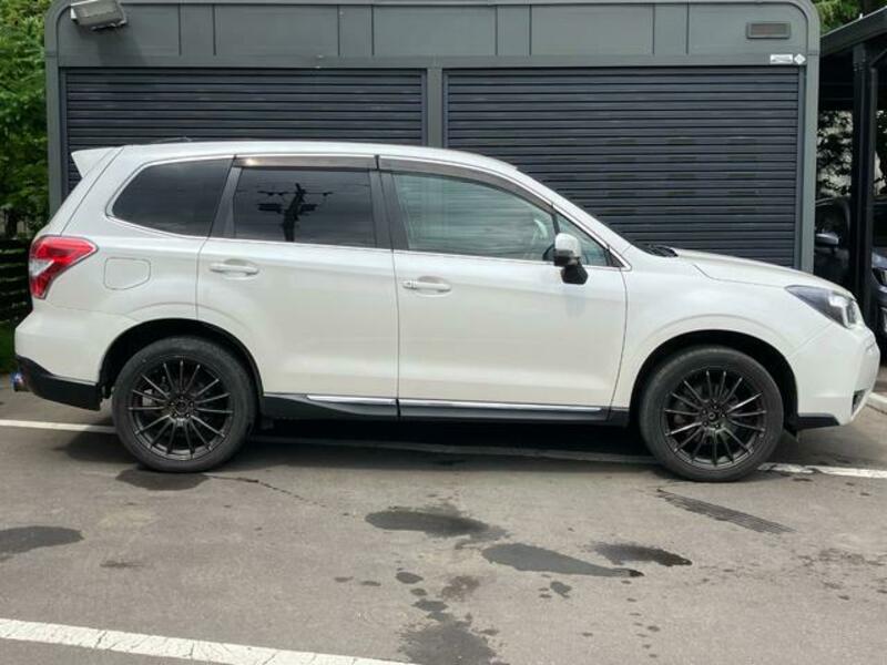 FORESTER