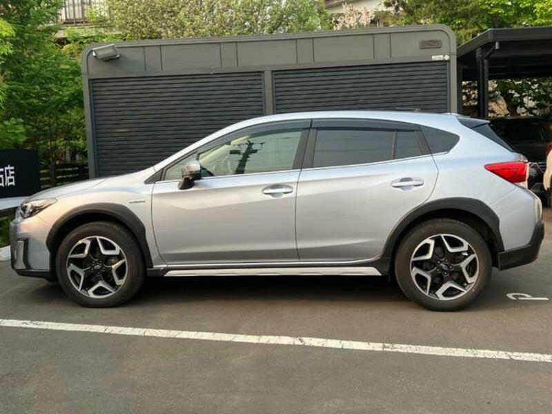 XV
