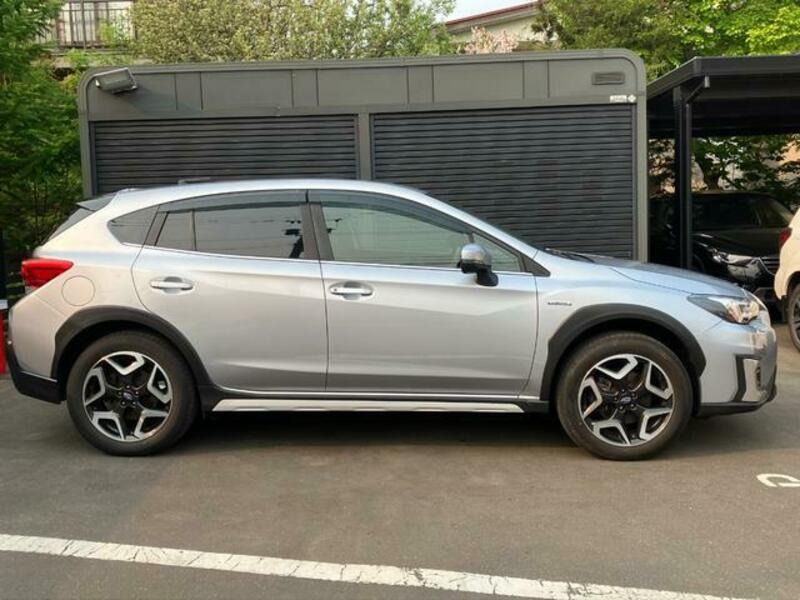 XV