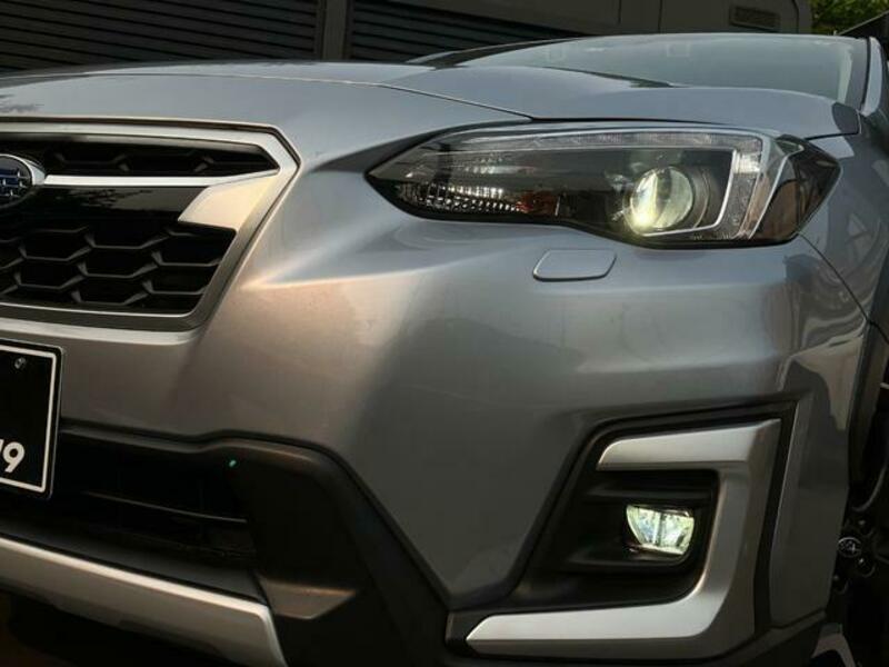 XV