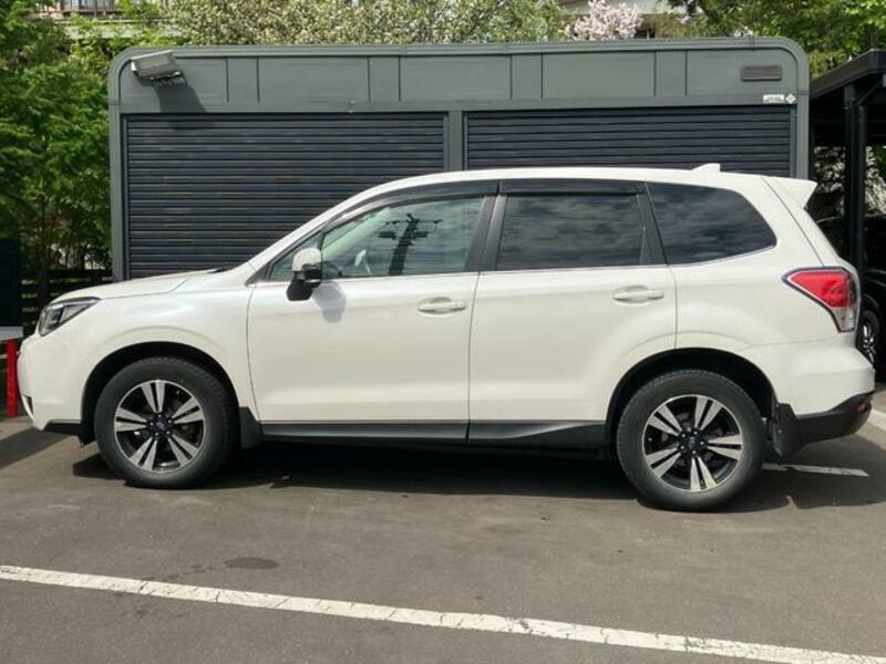 FORESTER