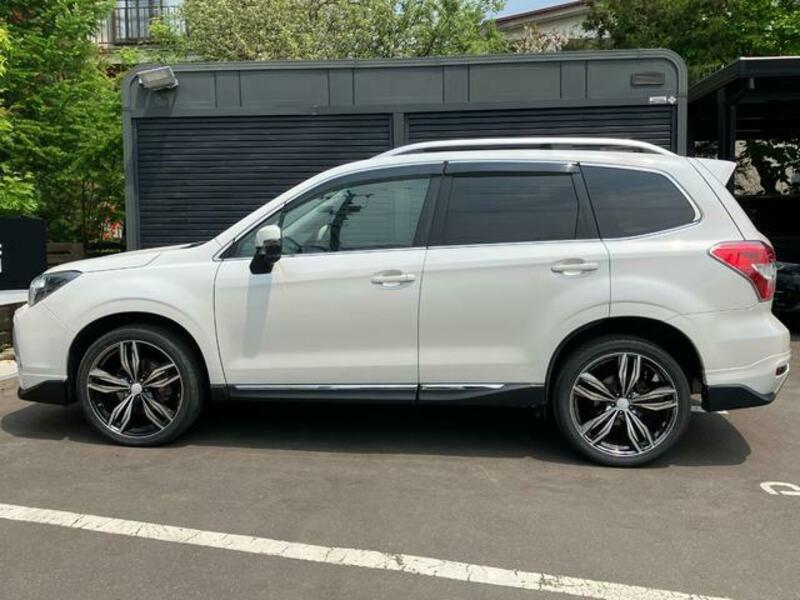FORESTER