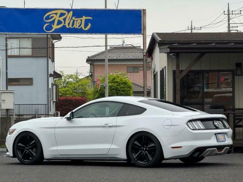 MUSTANG