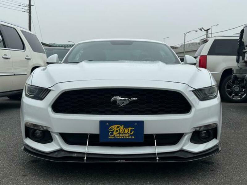 MUSTANG