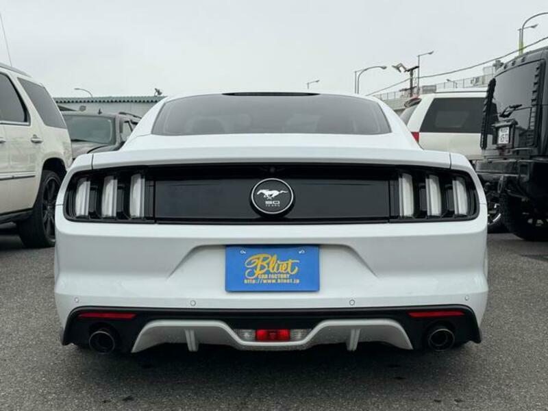 MUSTANG