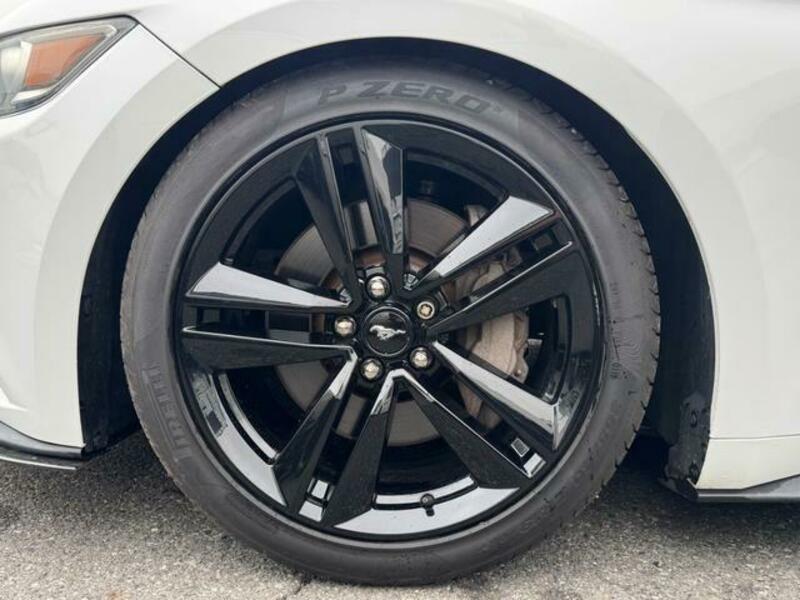 MUSTANG