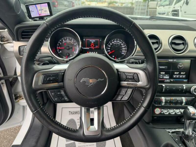 MUSTANG