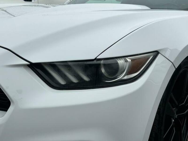 MUSTANG