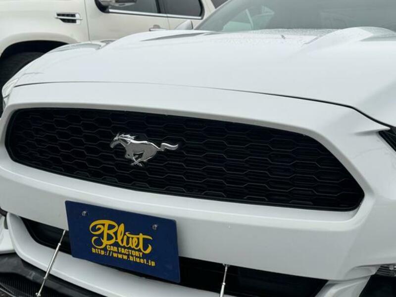 MUSTANG