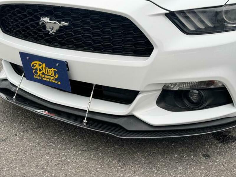 MUSTANG