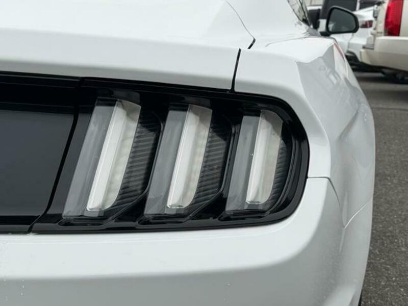MUSTANG