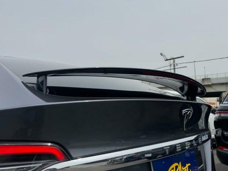 MODEL X